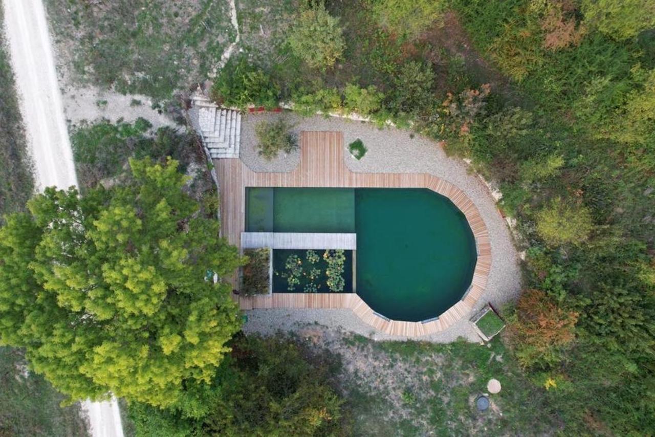 Maison Terre Les Cabanes De Fallot - Sauna Bain-Froid Piscine Naturelle L'isle-Bouzon ภายนอก รูปภาพ