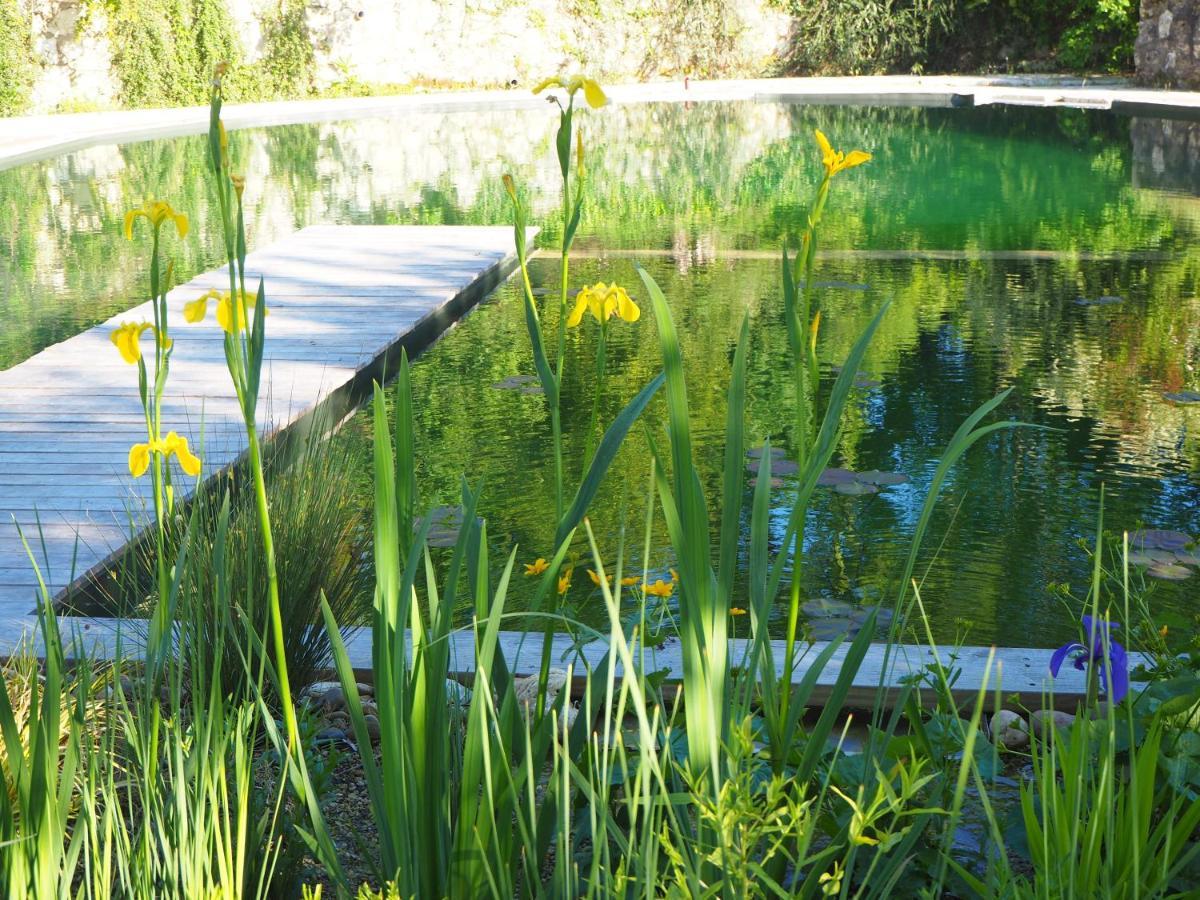 Maison Terre Les Cabanes De Fallot - Sauna Bain-Froid Piscine Naturelle L'isle-Bouzon ภายนอก รูปภาพ