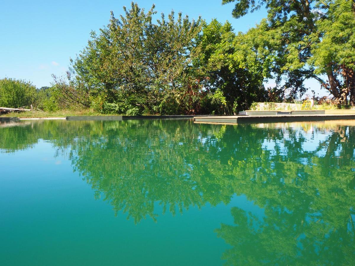 Maison Terre Les Cabanes De Fallot - Sauna Bain-Froid Piscine Naturelle L'isle-Bouzon ภายนอก รูปภาพ